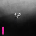 Little Simz - Lotus Vinyl